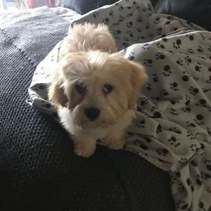 Meet your Posher, Julie